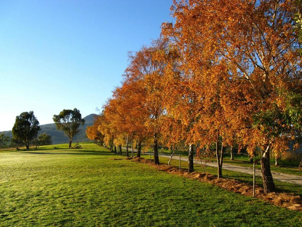 Plovers Ridge Country Retreat Vila Lilydale Quarto foto